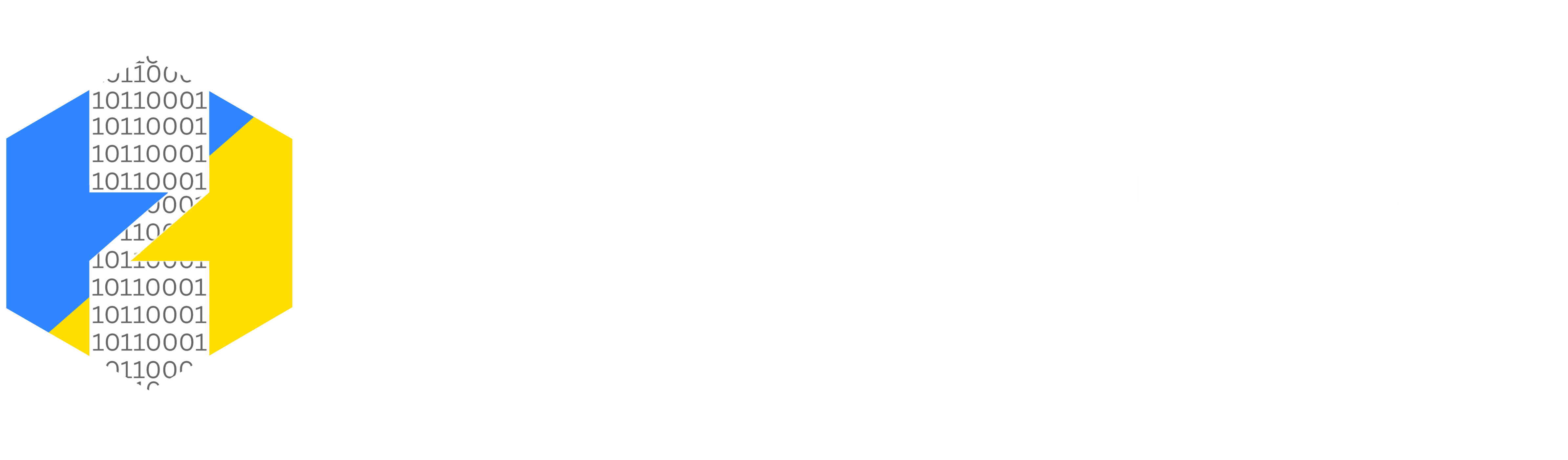 HOLISBYTE Logo